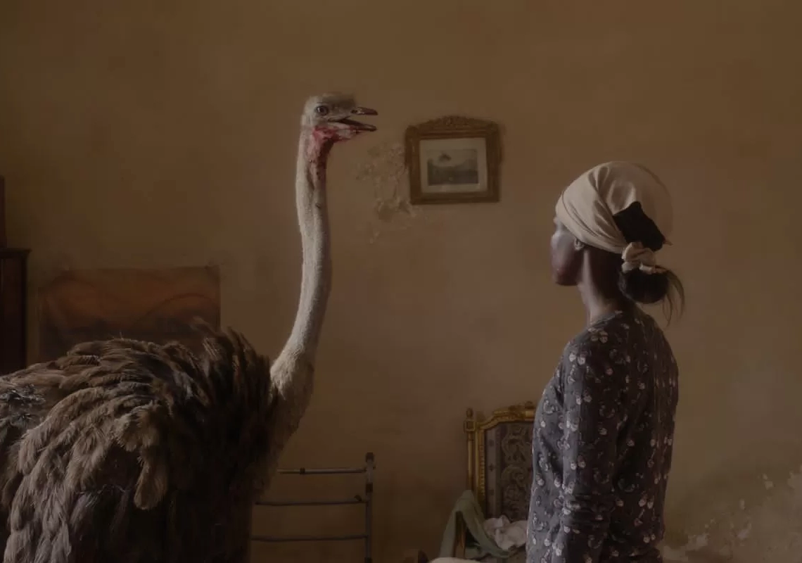 "عائشة لا تستطيع الطيران" يشارك في المسابقة الرسمية لمهرجان مراكش 20 - جريدة المساء "عائشة لا تستطيع الطيران" يشارك في المسابقة الرسمية لمهرجان مراكش 19 - جريدة المساء