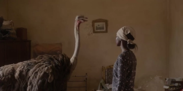 "عائشة لا تستطيع الطيران" يشارك في المسابقة الرسمية لمهرجان مراكش 2 - جريدة المساء "عائشة لا تستطيع الطيران" يشارك في المسابقة الرسمية لمهرجان مراكش 1 - جريدة المساء