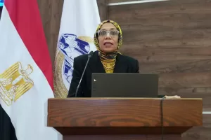 المجلس القومي يناقش ضمانات الصحة الآمنة