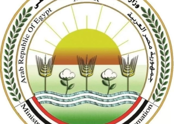 "الزراعة" تعلن بدء الموسم التصديري الجديد لمحصول البرتقال المصري منتصف ديسمبر المقبل 17 - جريدة المساء