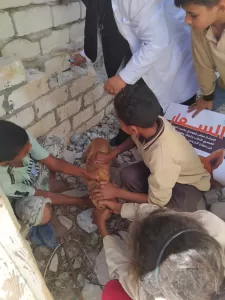 حملات لبيطري مطروح لتحصين الكلاب الضالة ضد مرض السعار وندوات توعية بالمدارس 21 - جريدة المساء