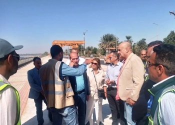 لاشين ونصار يتفقدان معدلات الإنجاز بعدد من المحاور الحيوية بأسوان 15 - جريدة المساء