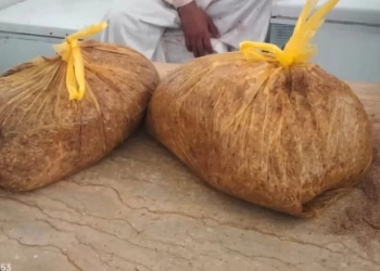 ضبط 410 كيلوجرام لحوم مفرومة مجهولة المصدر و27 مخالفة تموينية بالقليوبية 17 - جريدة المساء