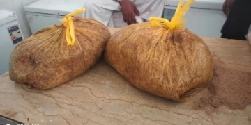 ضبط 410 كيلوجرام لحوم مفرومة مجهولة المصدر و27 مخالفة تموينية بالقليوبية 2 - جريدة المساء ضبط 410 كيلوجرام لحوم مفرومة مجهولة المصدر و27 مخالفة تموينية بالقليوبية 1 - جريدة المساء