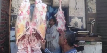 محافظ أسوان يتابع نتائج الحملات التفتيشية والبيطرية على الأسواق ومحلات الجزارة 2 - جريدة المساء محافظ أسوان يتابع نتائج الحملات التفتيشية والبيطرية على الأسواق ومحلات الجزارة 1 - جريدة المساء