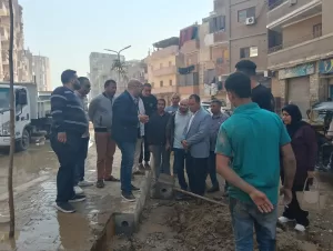 جولة ميدانية لنائب محافظ الجيزة لمتابعة مشروعات الرصف بالحوامدية 33 - جريدة المساء