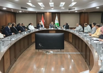 محافظ الجيزة: استقبال ٦٤ طلبًا بالعجوزة عقب الإعلان عن منظومة استبدال التوك توك بالمركبات الجديدة 19 - جريدة المساء