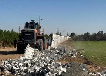 "استصلاح الأراضي" يزيل 31 حالة تعدي على الأراضي الزراعية 19 - جريدة المساء