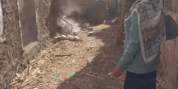 إزالات فورية للتعديات علي الأراضي الزراعية.. بقويسنا والباجور 1 - جريدة المساء