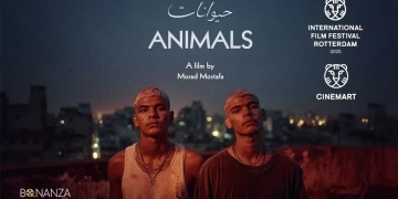 مشاركة فيلم "حيوانات" لمراد مصطفى في مهرجان "روتردام" 2 - جريدة المساء مشاركة فيلم "حيوانات" لمراد مصطفى في مهرجان "روتردام" 1 - جريدة المساء