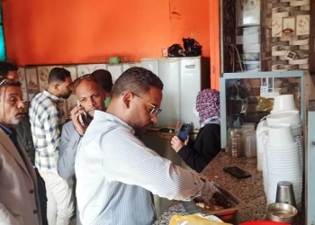 240 محضرا في حملات مفاجئة بأسوان 15 - جريدة المساء