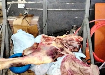 الطب البيطرى بأسوان يضبط 186 كجم لحوم فاسدة متنوعة وتحرير 6 محاضر مخالفة 33 - جريدة المساء