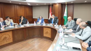 محافظ الجيزة: استبدال التوك توك بالسيارة "كيوت" اختياريًا وليس إجباريًا 22 - جريدة المساء