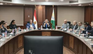 محافظ الجيزة: استبدال التوك توك بالسيارة "كيوت" اختياريًا وليس إجباريًا 16 - جريدة المساء