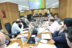 نائب محافظ الجيزة يتابع الخطة الاستثمارية وتقنين أراضي الدولة 19 - جريدة المساء