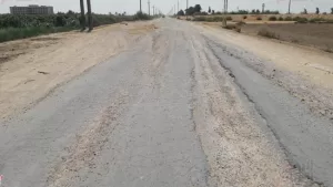 قري البنجر بين الانتاج وانعدام الخدمات الاساسية لتحقيق الاستقرار 23 - جريدة المساء