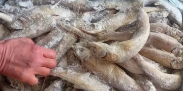 ضبط 370 كيلو لحوم وأسماك فاسدة بمدينة المستقبل خلال حملة لجهاز الشروق 1 - جريدة المساء