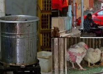 محلات بيع الفراخ ٠ ٠ بلا رقابة ! ! 25 - جريدة المساء محلات بيع الفراخ ٠ ٠ بلا رقابة ! ! 24 - جريدة المساء