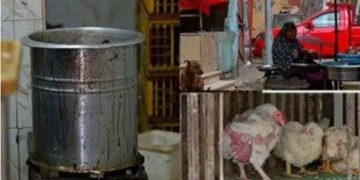 محلات بيع الفراخ ٠ ٠ بلا رقابة ! ! 1 - جريدة المساء