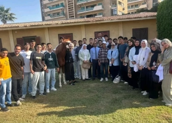 انعقاد ندوة أساسيات طب الخيول بجامعة قناة السويس 21 - جريدة المساء