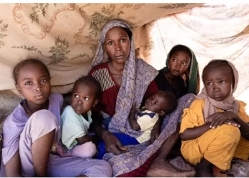 ناجون من الفاشر يروون مشاهد الموت والخوف خلال رحلة النجاة 16 - جريدة المساء