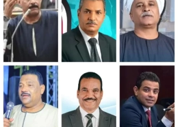 قنا ترحب بقرار إلغاء الانتخابات وتثمن توجيهات الرئيس 17 - جريدة المساء