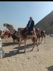 "الاتحاد المصري" ينظم جولة لوفود بطولة العالم للكاراتيه بالأهرامات والمتحف الكبير 20 - جريدة المساء