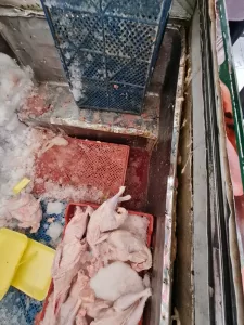 جهاز الشروق يضبط 268.5 كيلو لحوم ودواجن غير صالحة للاستهلاك الآدمى 29 - جريدة المساء