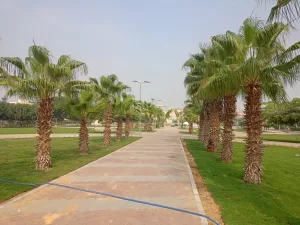 جهاز الشروق يواصل الصيانة لرفع كفاءة المدينة وتحسين المظهر الحضارى 25 - جريدة المساء