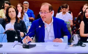 وزير المالية: الاستفادة من الأدوات التمويلية المبتكرة فى تعزيز تدفق الاستثمارات الخاصة 20 - جريدة المساء