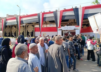 القطاع الريفي والمرأه يتصدرون المشهد الانتخابي بالاسكندريه 19 - جريدة المساء