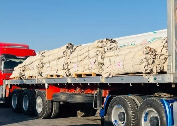 الهلال الأحمر المصرى السند والدفا للأشقاء داخل قطاع غزة