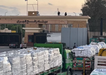 الهلال الأحمر المصرى يمد غزة بزاد العزة 66