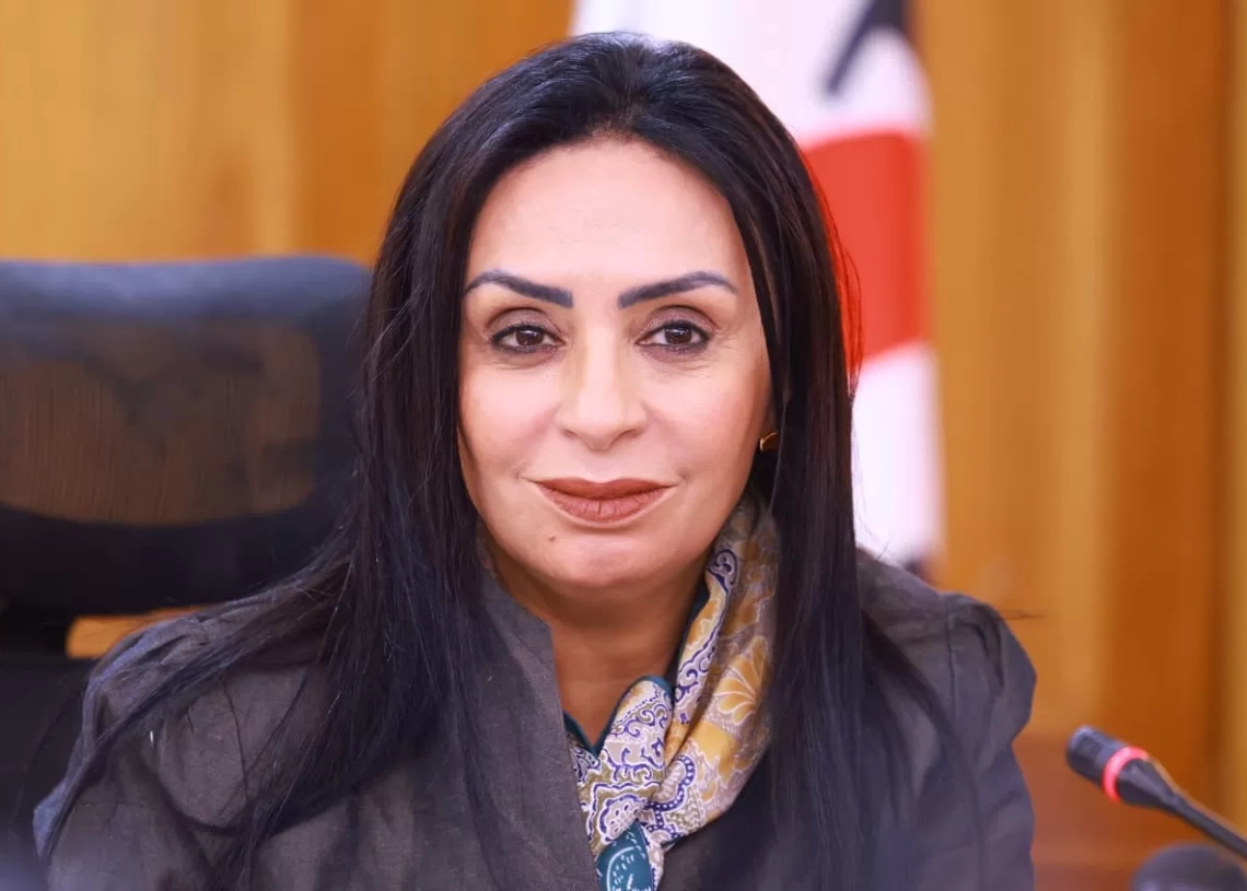 د. مايا مرسى وزيرة التضامن الاجتماعى