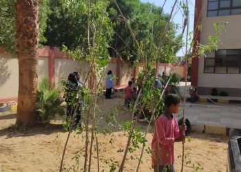 مواصلة غرس الأشجار بالمدارس ضمن المبادرة الرئاسية لزارعة 100 مليون شجرة بأسوان 21 - جريدة المساء