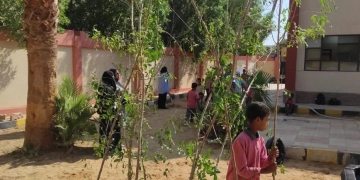 مواصلة غرس الأشجار بالمدارس ضمن المبادرة الرئاسية لزارعة 100 مليون شجرة بأسوان 1 - جريدة المساء