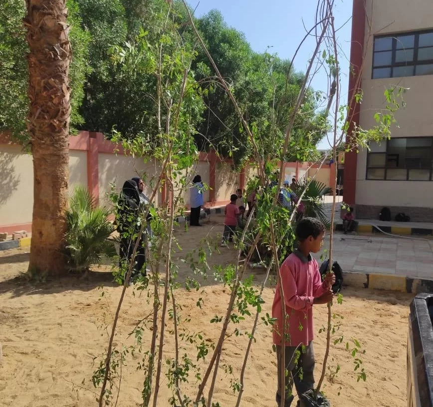 مواصلة غرس الأشجار بالمدارس ضمن المبادرة الرئاسية لزارعة 100 مليون شجرة بأسوان 19 - جريدة المساء