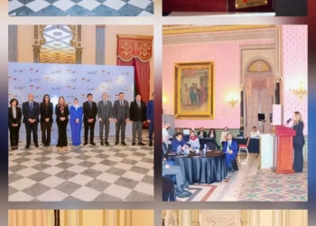 نائب محافظ سوهاج يشارك في إطلاق منصة GovInnovate الحكومية لدعم القدرات الرقمية بالجهاز الإداري للدولة 29 - جريدة المساء