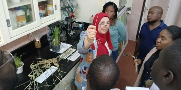 محافظ كفرالشيخ يؤكد الانتهاء من تدريب وفد من 10 دول إفريقية على تقنيات تحسين تقاوي الأرز بمركز البحوث الزراعية بسخا 1 - جريدة المساء