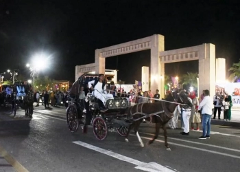 منظومة جديدة لضبط عمل عربات الحنطور ورفع كفاءة الخدمات السياحية باسوان 28 - جريدة المساء منظومة جديدة لضبط عمل عربات الحنطور ورفع كفاءة الخدمات السياحية باسوان 27 - جريدة المساء