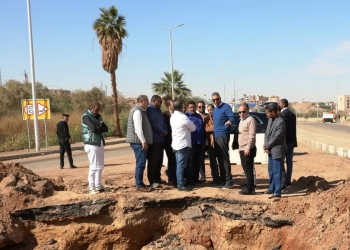 محافظ أسوان يوجه لرفع كفاءة الشوارع وإعادة الشئ لأصله بالطرق وتنفيذ أعمال التطوير والتجميل للإستعداد لأعياد الميلاد ورأس السنة 29 - جريدة المساء