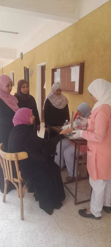 فرق المبادرات الرئاسية تعمل داخل اللجان الانتخابية حتى انتهاء التصويت بالمنوفية 22 - جريدة المساء