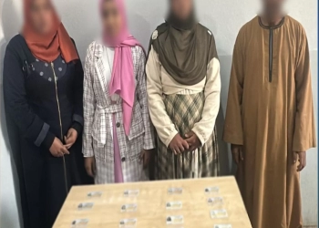 ضبط 4 أشخاص بحوزتهم بطاقات شخصية للتأثير على العملية الانتخابية بقنا 35 - جريدة المساء