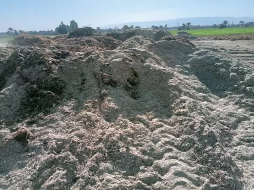 «ذهبٌ أخضر من رماد الحقول».. كيف حولت قرى قنا المخلفات الزراعية إلى ثروة بيئية واقتصادية؟ 75 - جريدة المساء