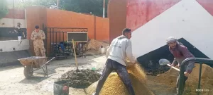 "محافظ المنيا يفتح شارع الحرية بعد 10 سنوات.. والمواطنون يشيدون بالقرار التاريخي" 33 - جريدة المساء