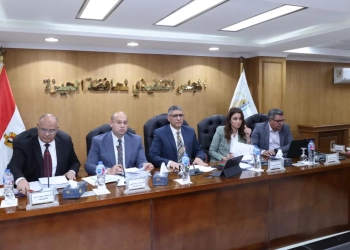 محافظ الجيزة يطلق مسابقة دورية لاختيار أفضل حي ومركز ووحدات قروية 29 - جريدة المساء