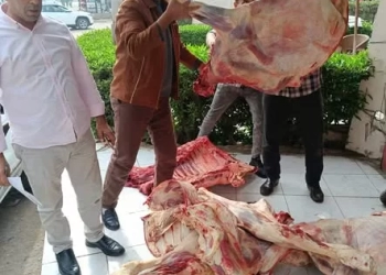 "الزراعة": ضبط أكثر من 682 طنًا من اللحوم غير الصالحة وتحرير 1060 محضرًا خلال نوفمبر فقط.. 27 - جريدة المساء