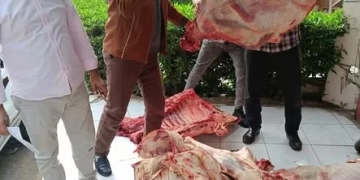 "الزراعة": ضبط أكثر من 682 طنًا من اللحوم غير الصالحة وتحرير 1060 محضرًا خلال نوفمبر فقط.. 9 - جريدة المساء