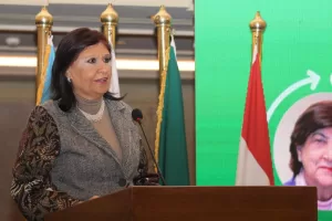 ورشة عمل لمنظمة المرأة العربية والمجلس القومي للمرأة وهيئة الأمم المتحدة 29 - جريدة المساء