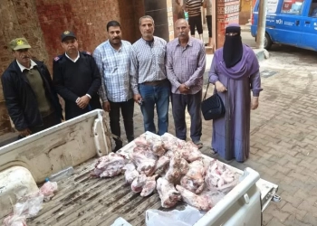 ضبط 2 طن من اللحوم والدواجن الفاسدة بالمنوفية 17 - جريدة المساء